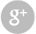 Google +1